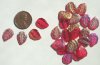 25 14mm Red AB Leaf